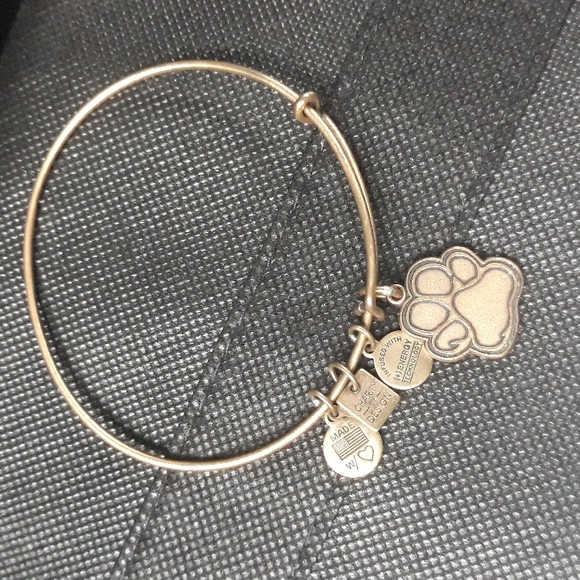 Alex And Ani charm bracelet - Picture 2 of 5